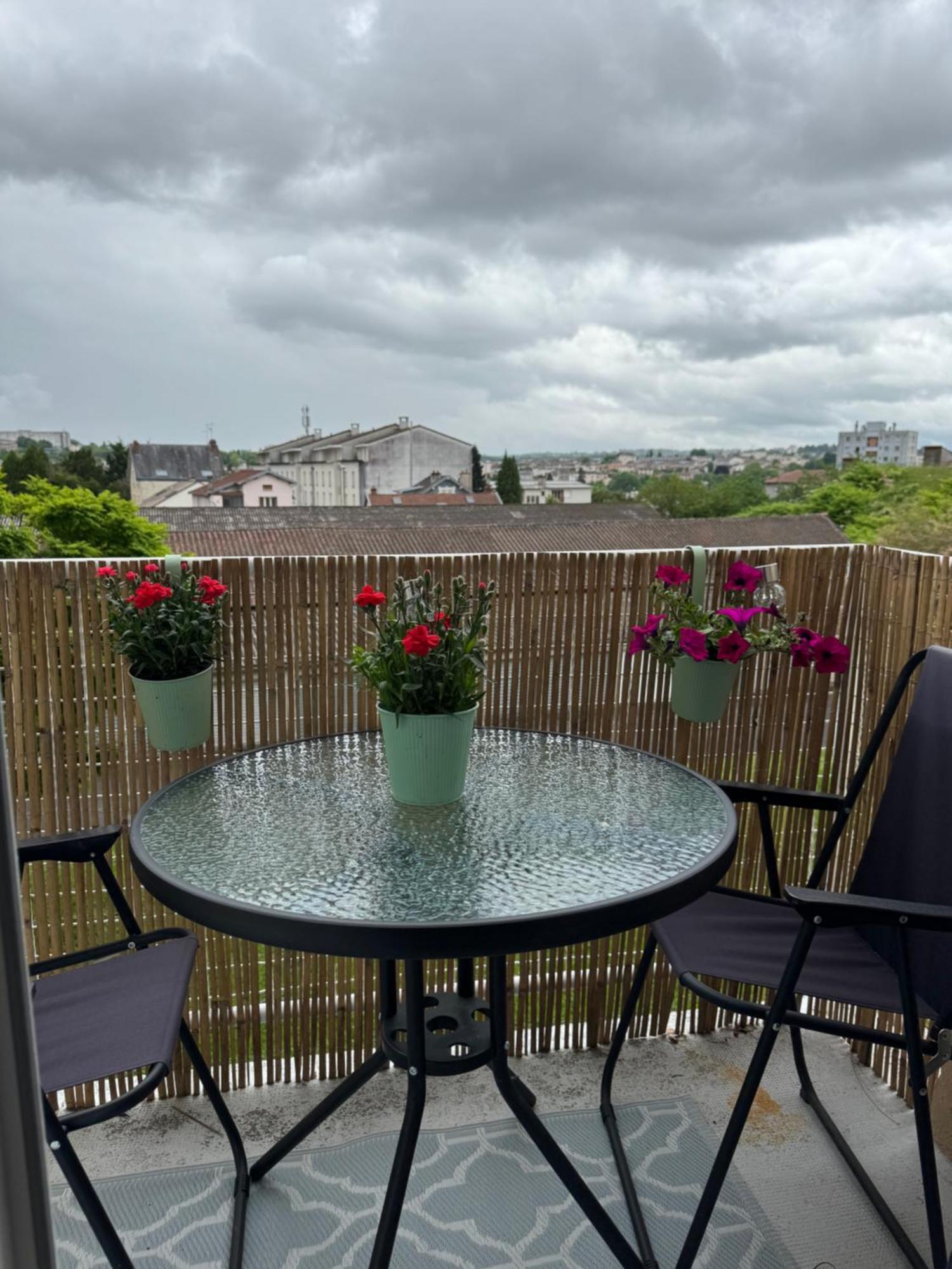 Apartment Chaleureux Et Spacieux T3